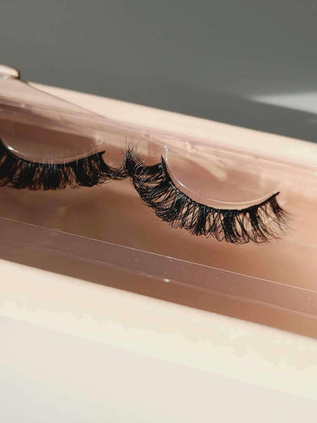 Lash 2 Shai's World