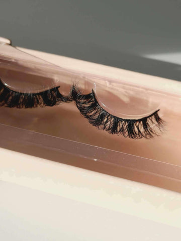 Lash 2 Shai's World